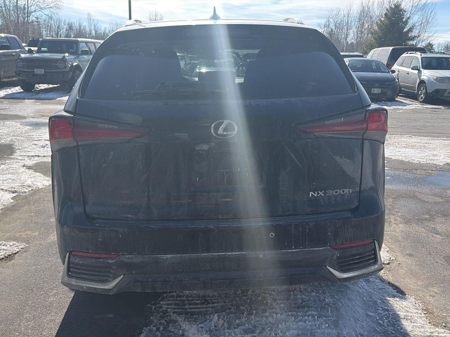 2021 Lexus NX 300h NX 300h