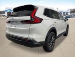 2026 Honda CR-V EX-L All Wheel Drive CVT