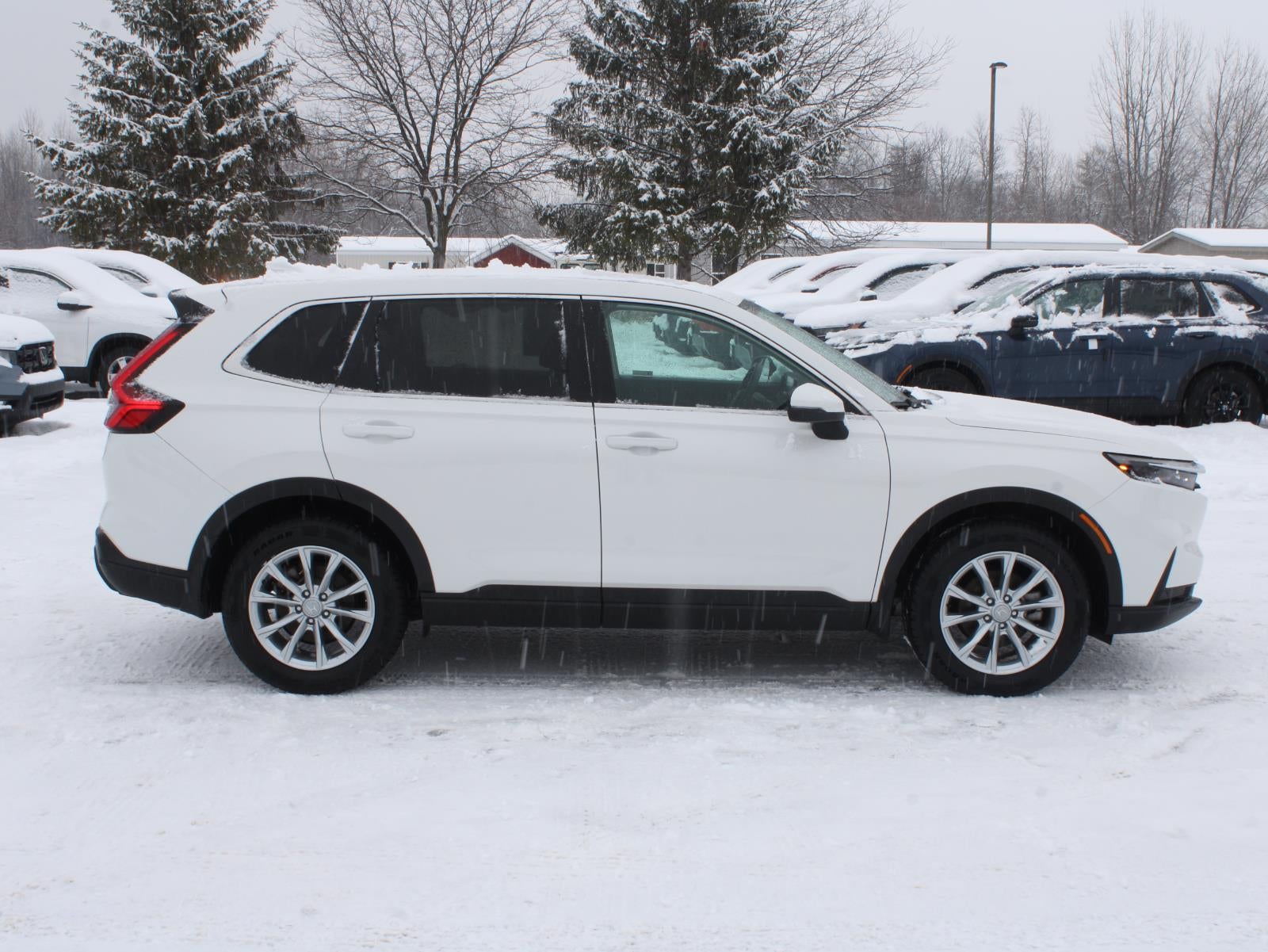 2024 Honda CR-V EX-L All Wheel Drive CVT