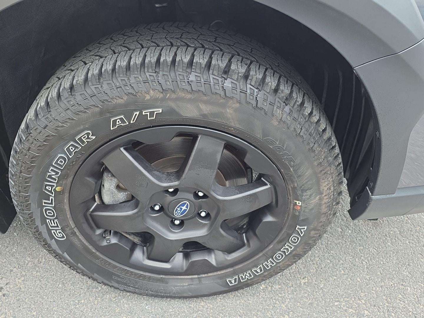 2025 Subaru Outback Wilderness