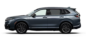 DELLA Honda in Plattsburgh in Plattsburgh NY